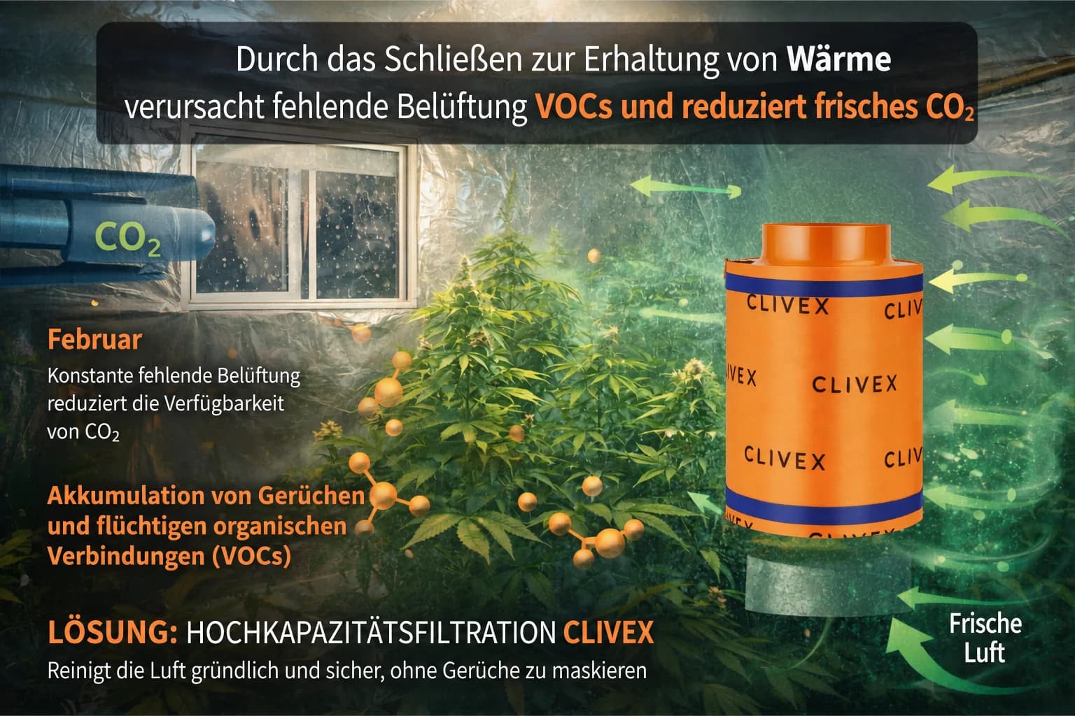 Die Wissenschaft hinter der Aktivkohlefiltration im Indoor-Anbau